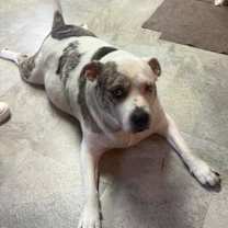 Thumbnail photo of Urban Legend #2