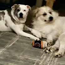 Thumbnail photo of Urban Legend #4