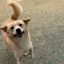 Thumbnail photo of Kuni #3