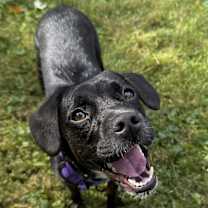 Thumbnail photo of Priya #2