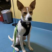 Thumbnail photo of Bandit #3