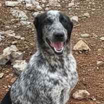 Thumbnail photo of June (Lebanon) nt #1