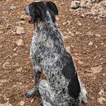 Thumbnail photo of June (Lebanon) nt #3