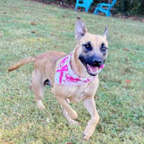 Thumbnail photo of ZORA #3