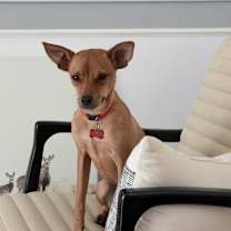 Thumbnail photo of Charlie. B #1