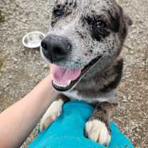 Thumbnail photo of Travis #1