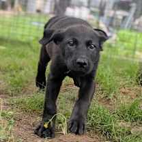 Thumbnail photo of Brook #4