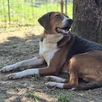 Thumbnail photo of Bruce #1