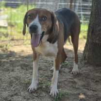 Thumbnail photo of Bruce #4