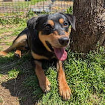 Thumbnail photo of Chad #1