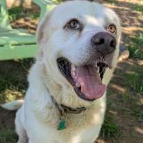 Thumbnail photo of Jasper #3