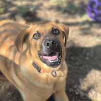 Thumbnail photo of Alice #4