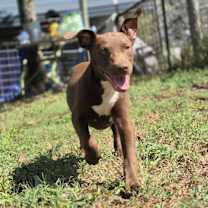 Thumbnail photo of Mazelle #3