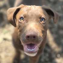 Thumbnail photo of Mazelle #4