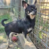 Thumbnail photo of Stu #2