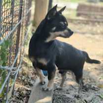 Thumbnail photo of Stu #3