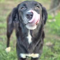 Thumbnail photo of Maggie #2