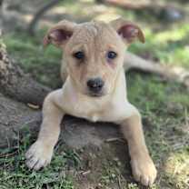 Thumbnail photo of Lena #3