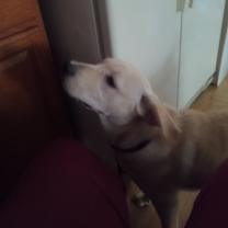 Thumbnail photo of Snow #3