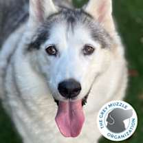 Thumbnail photo of Miss Daisy #1