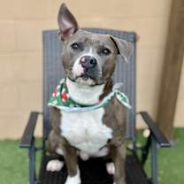 Thumbnail photo of Jax #1