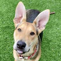 Thumbnail photo of Stuart #2