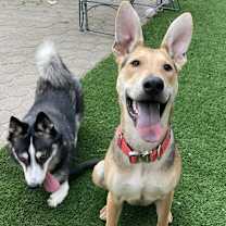 Thumbnail photo of Stuart #3