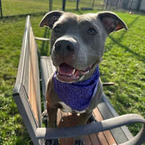 Thumbnail photo of Nyla #1