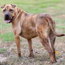 Thumbnail photo of Dancer #1