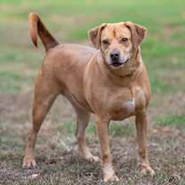 Thumbnail photo of Sandra Dee #1