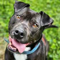 Thumbnail photo of Marbles #2