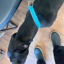 Thumbnail photo of Halo #3