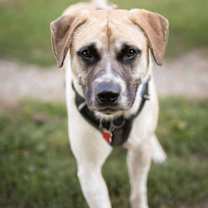 Thumbnail photo of Chance #3