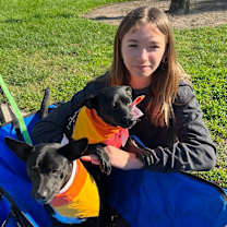 Thumbnail photo of Sammy #2