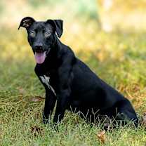 Thumbnail photo of Danni #1