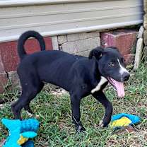 Thumbnail photo of Camper #2