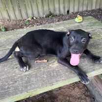 Thumbnail photo of Danni #2