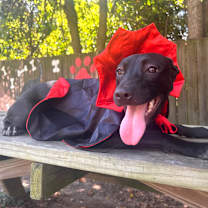 Thumbnail photo of Danni #3