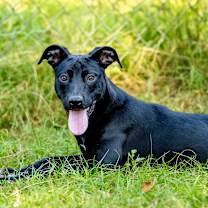 Thumbnail photo of Danni #4