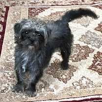 Thumbnail photo of Bubbles #3