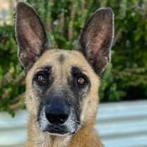 Thumbnail photo of Darla Jean #1