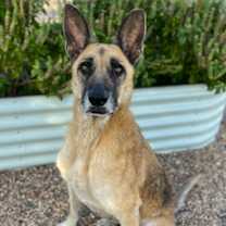 Thumbnail photo of Darla Jean #3