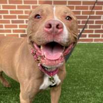 Thumbnail photo of Danielle #1