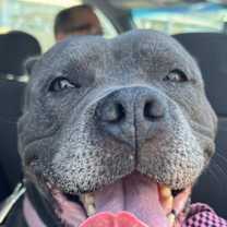 Thumbnail photo of Hope #1