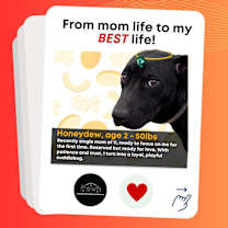 Thumbnail photo of Honeydew #2