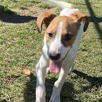 Thumbnail photo of Moonpie #3