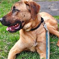 Thumbnail photo of BiBi #1