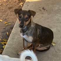 Thumbnail photo of Crystal   #1