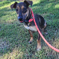 Thumbnail photo of Crystal   #4