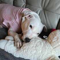 Thumbnail photo of Annie aka sweetie #3